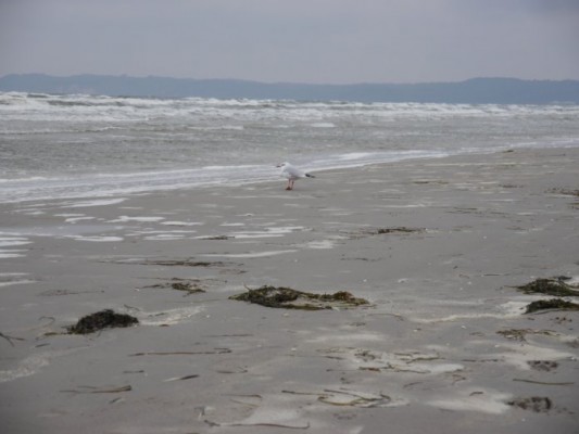 Strand Prora, Strand Binz im Prorer Wiek, eine lange Bucht mit feinem, weißen Sand